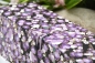 Preview: Dreiecks-Klappschachtel ca. 22,0x7,3x7,3cm (Size M) | Einband Japanpapier Chiyogami Blüten floral | flieder lila | Art. Nr. 97040404